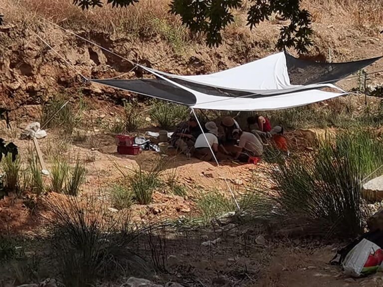 Αρχαιολογική και παλαιοντολογική ανασκαφή ταυτόχρονα σε Ραφήνα και Πικέρμι
