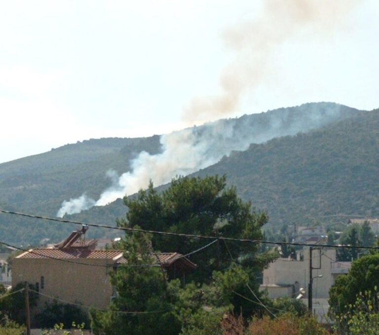 Πάλι φωτιά στην Πάρνηθα στο ίδιο σημείο με χτες(φωτο-βίντεο)