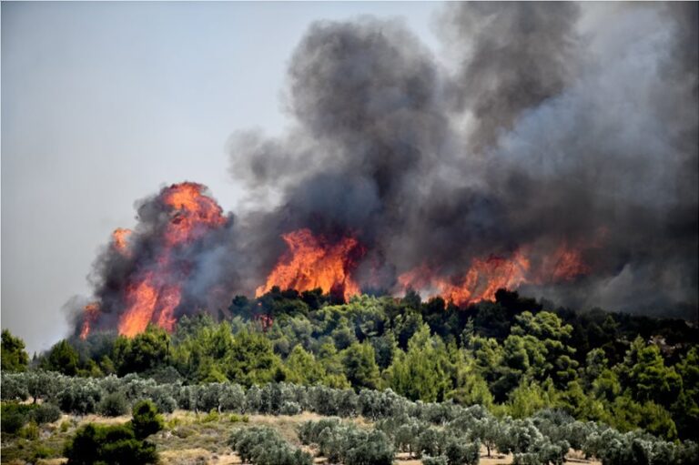 Πολύ υψηλός κίνδυνος πυρκαγιάς την Δευτέρα σε Ραφήνα και Πικέρμι(κατηγορία 4)