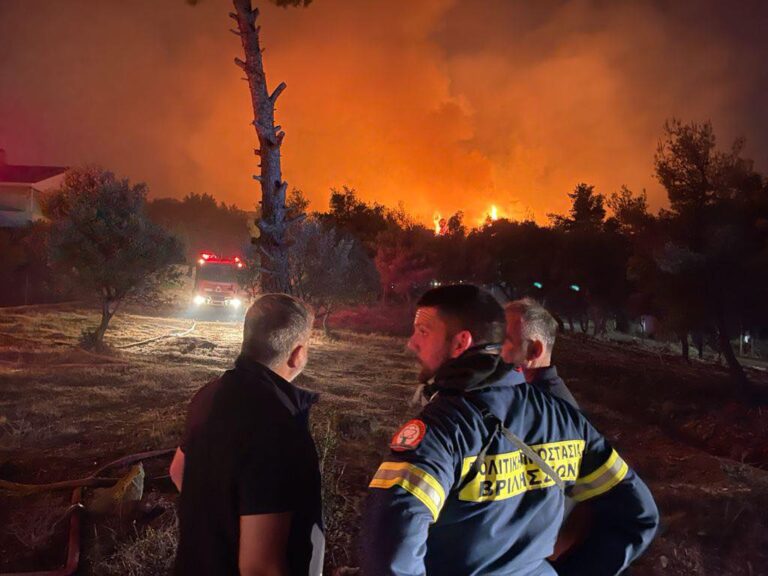 Στο μέτωπο της φωτιάς στη Νέα Μάκρη ο Περιφερειάρχης Αττικής Γιώργος Πατούλης(φωτο)