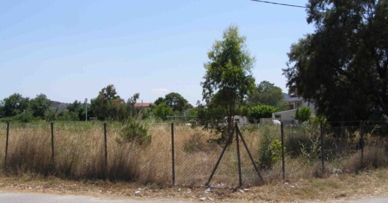 27 Νέα πρόστιμα σε ιδιοκτήτες ακαθάριστων οικοπέδων σε Ραφήνα και Πικέρμι