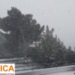 271810478_1187142811693670_1845703084893260790_n