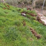 272066202_7024091597630932_2267089161938929303_n