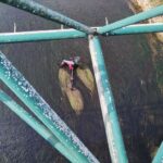 274162989_7213528358687254_1693048145663214890_n