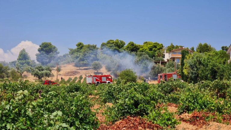 Φωτιά τώρα στο Πικέρμι