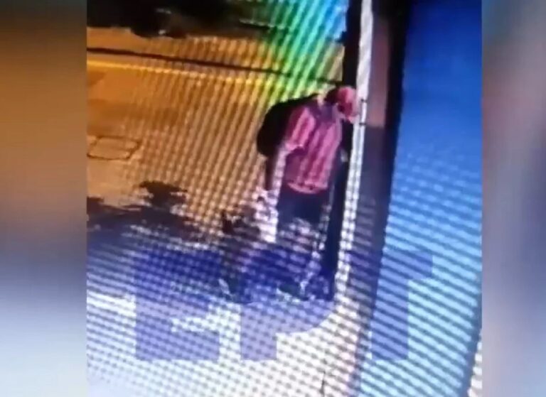 Επικήρυξε τον δράστη που σκότωσε το γατάκι η Φιλοζωϊκή στην Θεσσαλονίκη