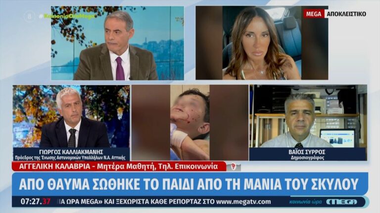 Τρόμος στο Λαγονήσι: Άγρια επίθεση σκύλου σε αγοράκι