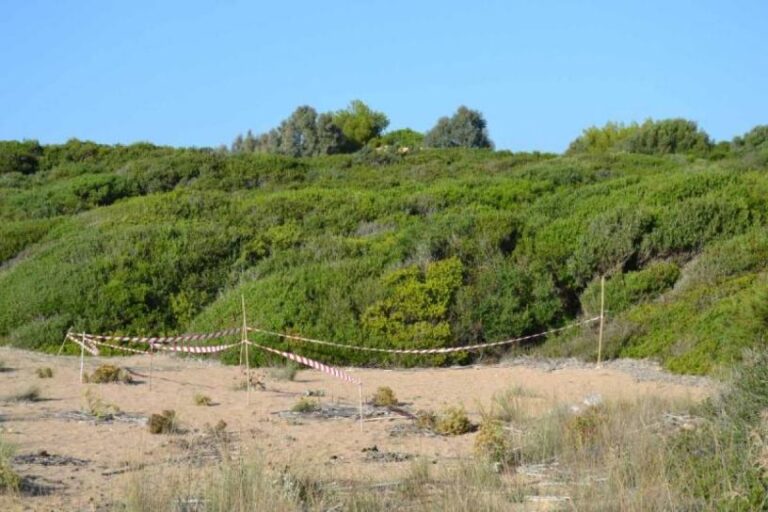 Λύθηκε ο γρίφος με το θαμμένο πτώμα στην παραλία