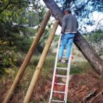 318088900_8601647216542021_4059121026434862987_n