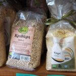 324072307_569945561294619_8004555837887808449_n