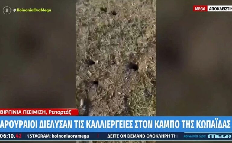 Αρουραίοι διέλυσαν τις καλλιέργειες στον κάμπο της Κωπαΐδας