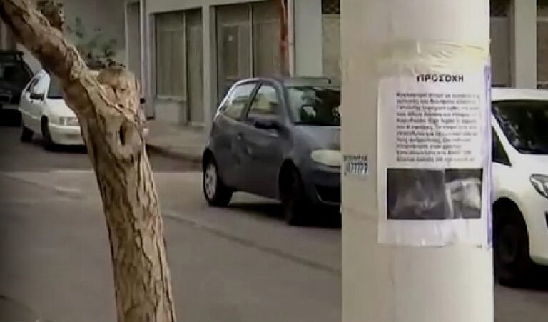 Άγνωστος  με αεροβόλο κυκλοφορεί και σκοτώνει αδέσποτα ζώα
