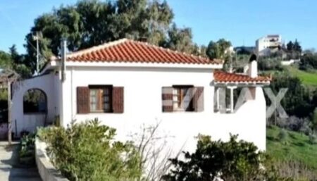 Γλυκά Νερά: Πωλητήριο στο σπίτι στην Αλόννησο έβαλαν οι γονείς της Καρολάιν