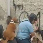 Capture-65-1024×526