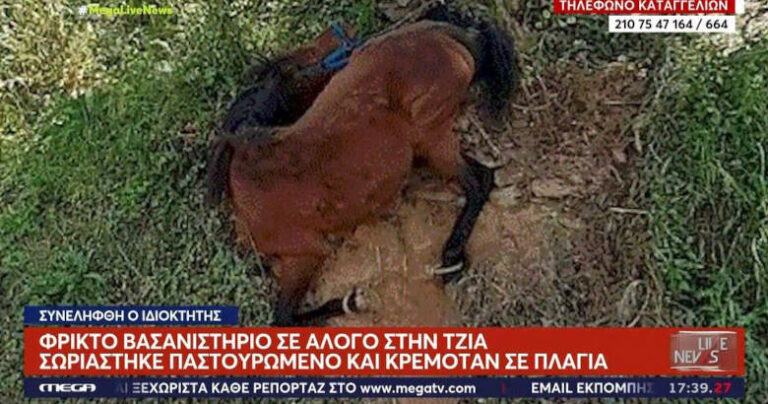 Τζια: Οργή για το άλογο που βρέθηκε κρεμασμένο