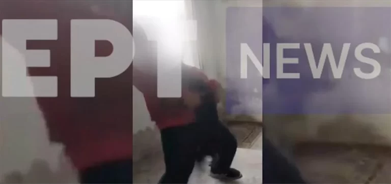 Μαθητές κακοποίησαν επτά κουτάβια – Μόνο τρία έχουν πιθανότητες επιβίωσης