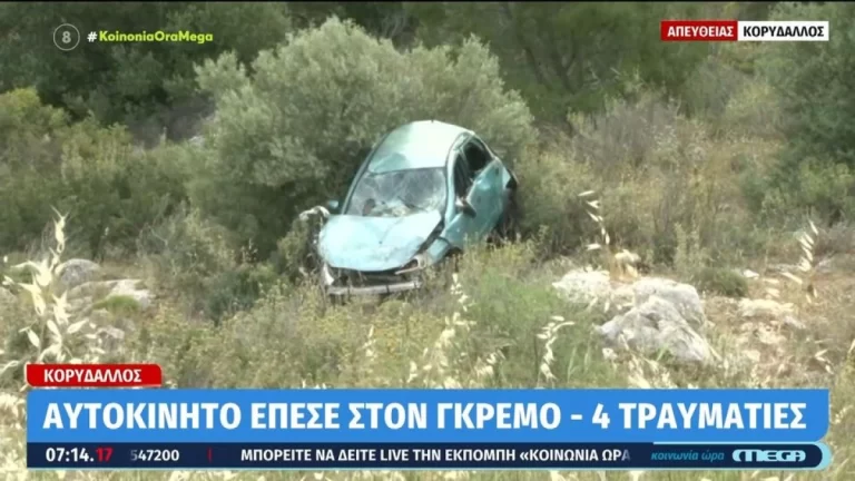 Σχιστό: «Πήγαμε να αποφύγουμε μια αλεπού και πέσαμε στον γκρεμό…»