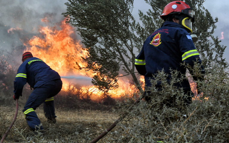 Φωτιά Κάρυστος: «Μου άρεσε να βλέπω τα πυροσβεστικά να τρέχουν να σβήνουν τις φλόγες», λέει ο καθ’ ομολογίαν εμπρηστής