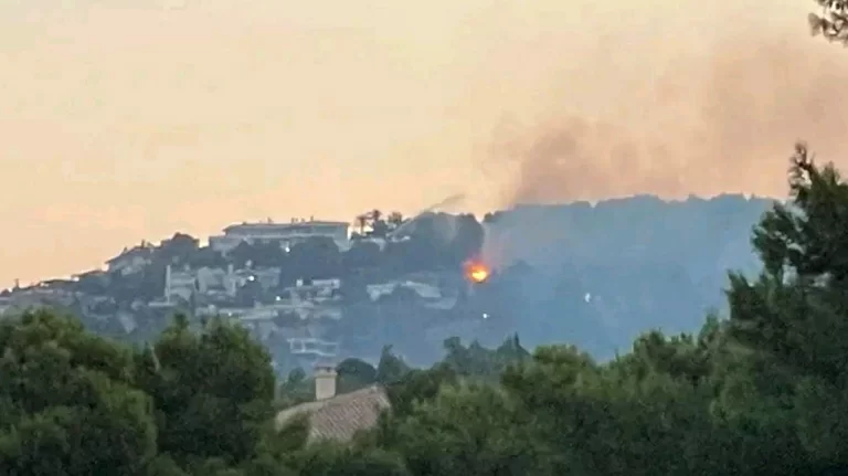 Φωτιά σε δασική έκταση στην Κηφισιά