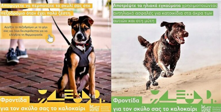 Πανελλήνια Φιλοζωική Ομοσπονδία: Οδηγίες ενόψει καύσωνα για την προστασία των μικρών μας φίλων
