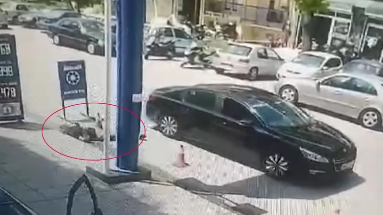 Σοκαριστικό βίντεο από την δολοφονία του 50χρονου στο βενζινάδικο