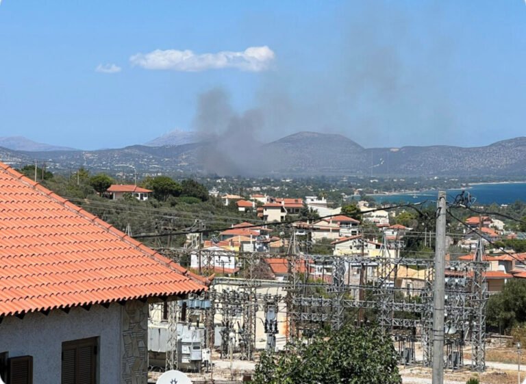 Φωτιά στον Σχοινιά Μαραθώνα – Μάχη επίγειων και εναέριων μέσων