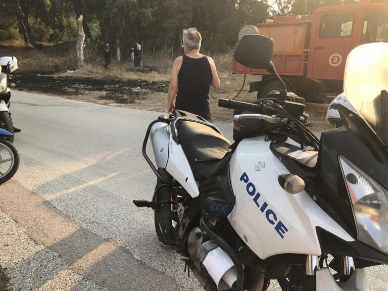 Αρτέμιδα: Πυρκαγιά το πρωί πίσω από το δάσος του ΟΤΕ