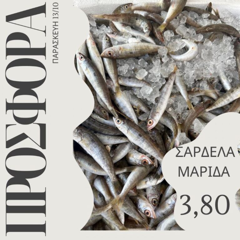 Ραφήνα: Την Παρασκευή στις ”Ανεμότρατες” σαρδέλα και μαρίδα με 3,80 το κιλό!
