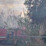 εικόνα_Viber_2023-12-29_23-57-59-067