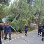 445026579_847713067387118_1325768484645349672_n