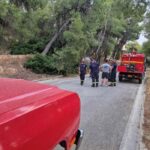 446809634_847713207387104_4369937654740856980_n