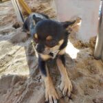 449124976_1481769642480961_4434459426366211778_n