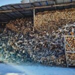 458373672_394068770402758_6412143482922527080_n