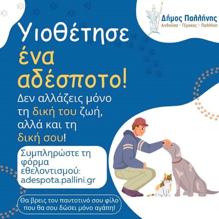 Δήμος Παλλήνης: Υιοθέτησε ένα αδέσποτο- θα σου αλλάξει τη ζωή! – rpn