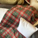 462541165_1066005045200819_7965294841934209754_n