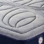 462549420_535432415902261_7327503473672771960_n