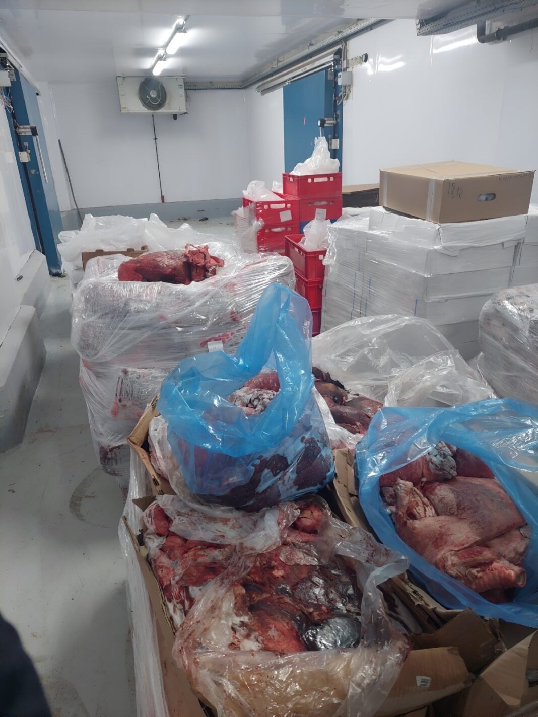 Υγιεινομικοί έλεγχοι Περιφέρειας Αττικής: Κατάσχεση αλλοιωμένων κρεάτων – Χαρδαλιάς: «Δεν παίζουμε με τη δημόσια υγεία» – rpn