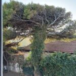 573f5ff2-2527-4769-978b-46c52584fc69