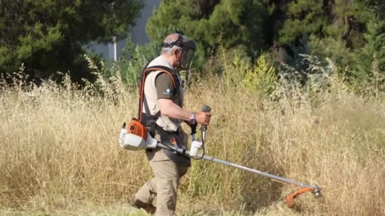 Έμπειρο συνεργείο αναλαμβάνει τον καθαρισμό του οικοπέδου σας – RPN
