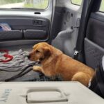 489531376_1081207570700119_3406394751612792812_n