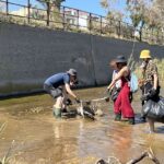 495372500_1106698388164797_6352514007656706717_n