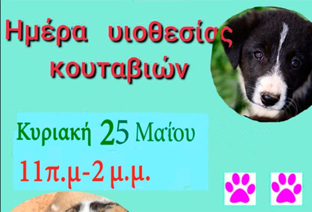 Νέα Μάκρη: Ημέρα υιοθεσίας σκύλων από το Σύλλογο Ζωόφιλων Μαραθώνα “Ελπίδα” – rpn