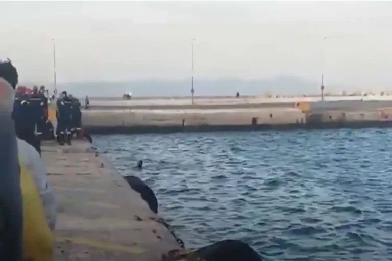 Τραγωδία στο Λιμάνι της Μυτιλήνης: Αυτοκίνητο έπεσε στη θάλασσα – Νεκρός ο οδηγός – rpn