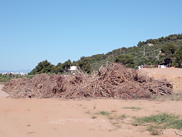 Καταγγελία από κάτοικο Ραφήνας: «Βουνά ξυλείας και σκουπιδιών στις όχθες του ποταμού – Άμεσος κίνδυνος πυρκαγιάς» – rpn