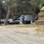 505894417_1017285323953021_286682592305921259_n