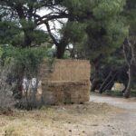 506013811_1017284417286445_2711984437943694534_n