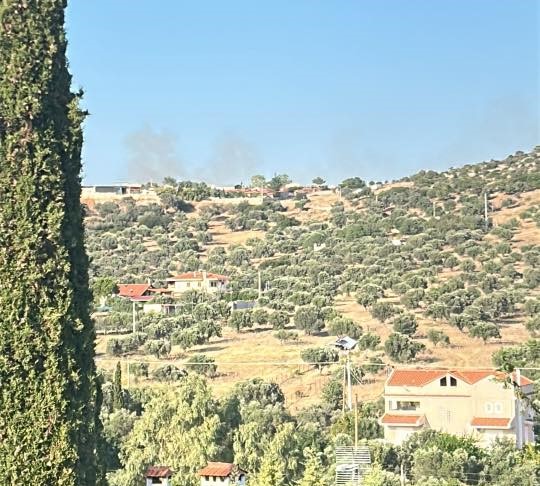 Φωτιά στον οικισμό Αργιθέα στην Παιανία – οριοθετήθηκε – ήχησε το 112 – rpn