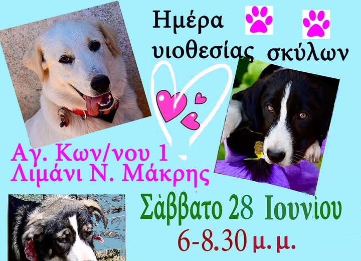 Ημέρα υιοθεσίας από τον Σύλλογο Ζωόφιλων Μαραθώνα «ΕΛΠΙΔΑ»