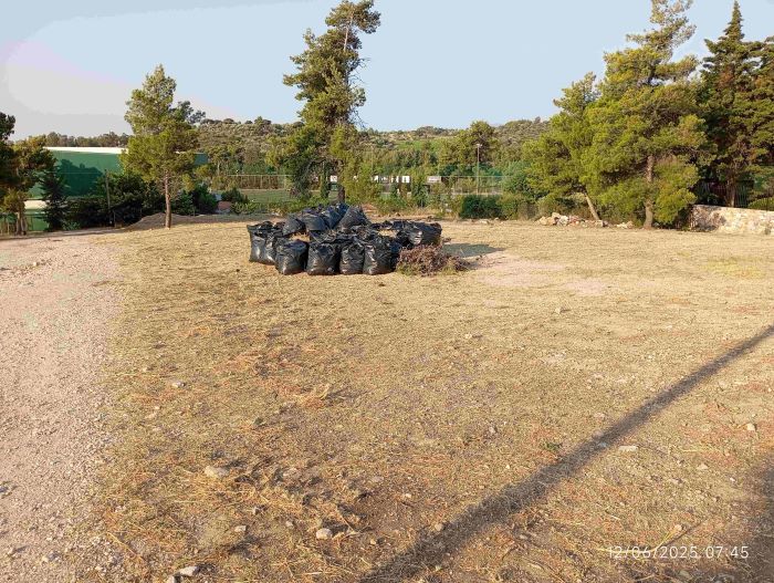 Οι σακούλες βλαστικών στη Διώνη… απέκτησαν προσωπικότητα και πήραν την κατάσταση στα χέρια τους