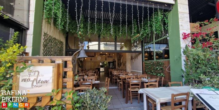 Πικέρμι: Καλοκαιρινό γευστικό ταξίδι στο μεζεδοπωλείο «Νέο… Λέων»!